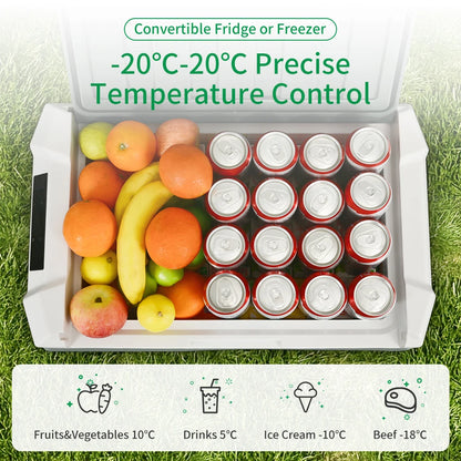 portable car fridge 12v 24v